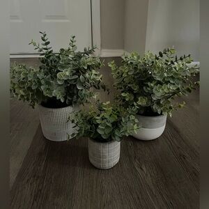 Eucalyptus Faux Plants - set of 3